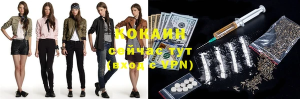 индика Майский