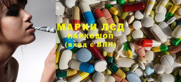 индика Майский
