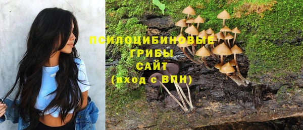 ПСИЛОЦИБИНОВЫЕ ГРИБЫ Медногорск